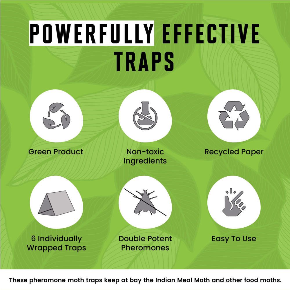 Powerful Clothes Moth Traps - 3 pack - Odorless and Non-Toxic